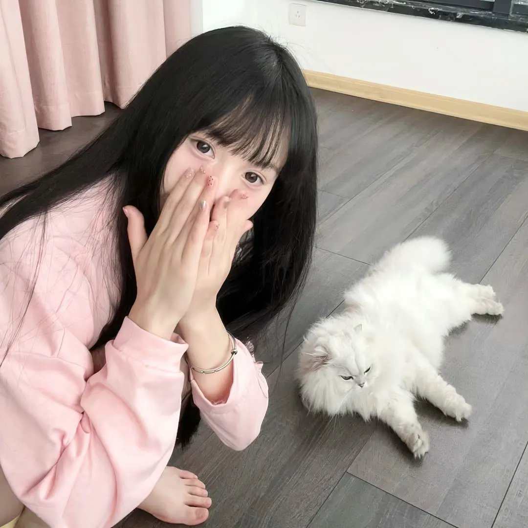 天才第四季